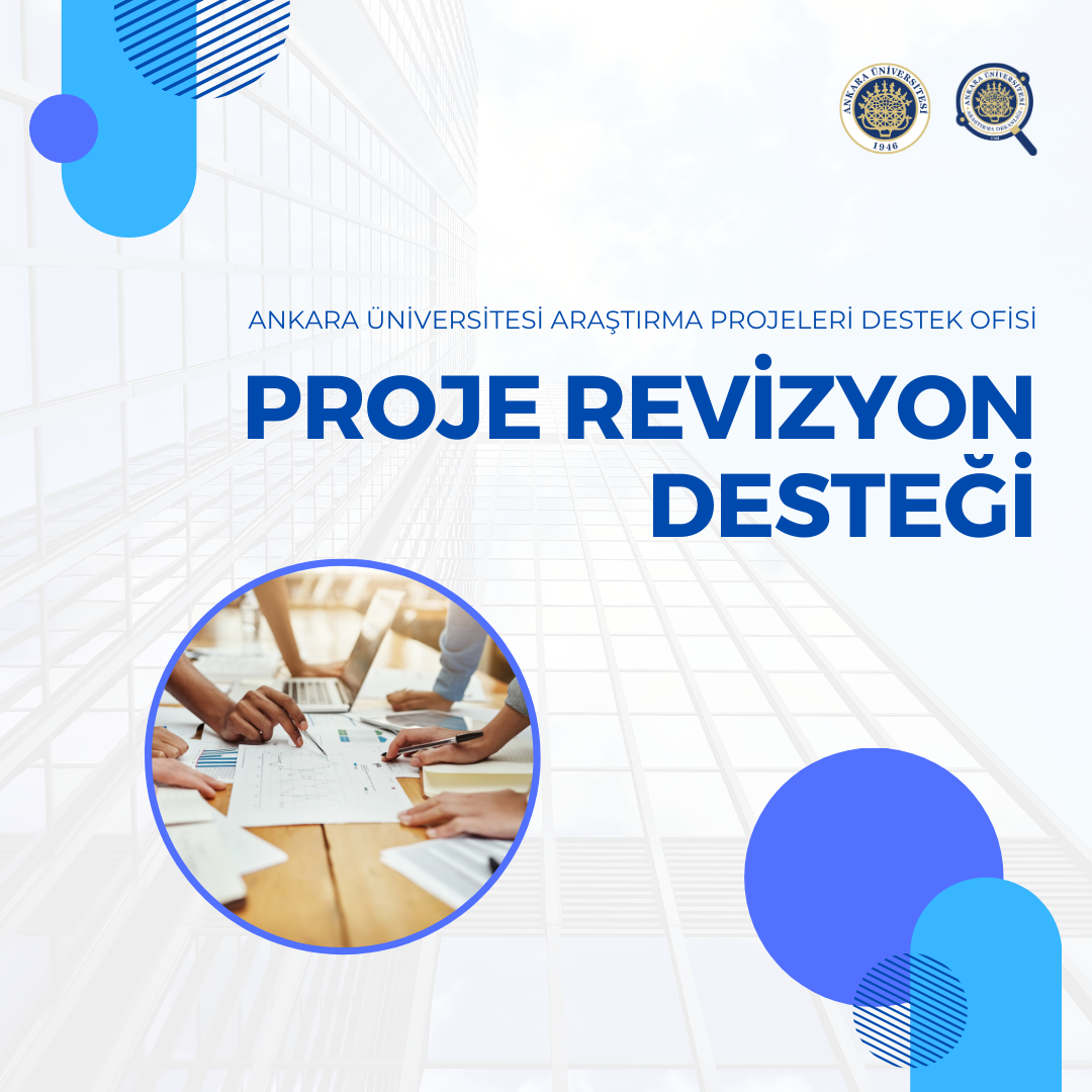 Proje Revizyon Desteği